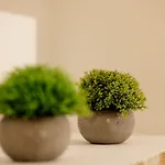 Apartment Debambu *